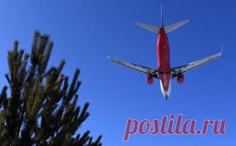 Ирак закрыл небо для российского самолета. Самолет Boeing 737 авиакомпании «Россия», летевший из Екатеринбурга в Шарм-эль-Шейх, «без объяснения причины» не допустили в воздушное пространство Ирака.