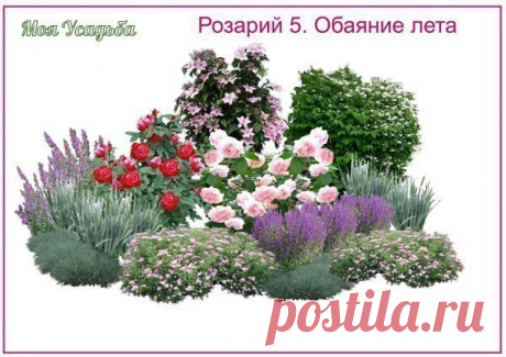 Розарии - создаём красивую клумбу на участке