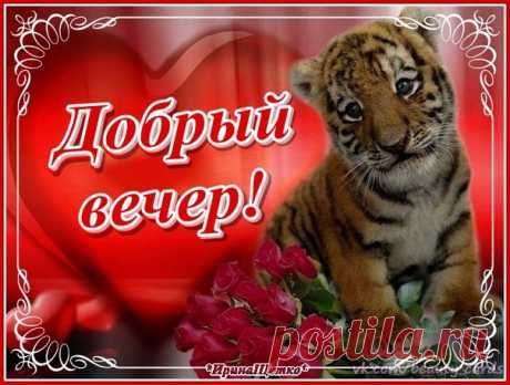 ~•♥Счастливости♥•~