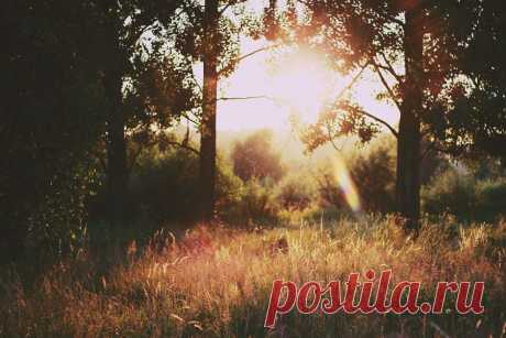 sunshine