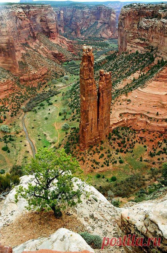 Spider Rock in Canyon de Chelley - Arizona  |  Pinterest • Всемирный каталог идей