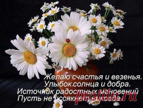 Интересные новости