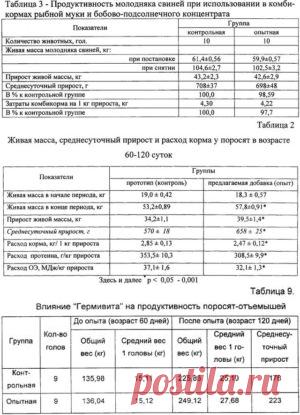 Влияние суспензии хлореллы на интенсивность роста молодняка свиней - БиоКорова