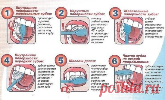 (1) Одноклассники