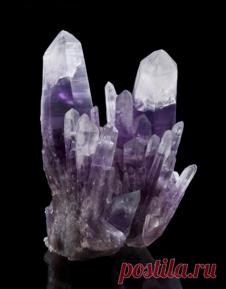 Survival of the Strangest