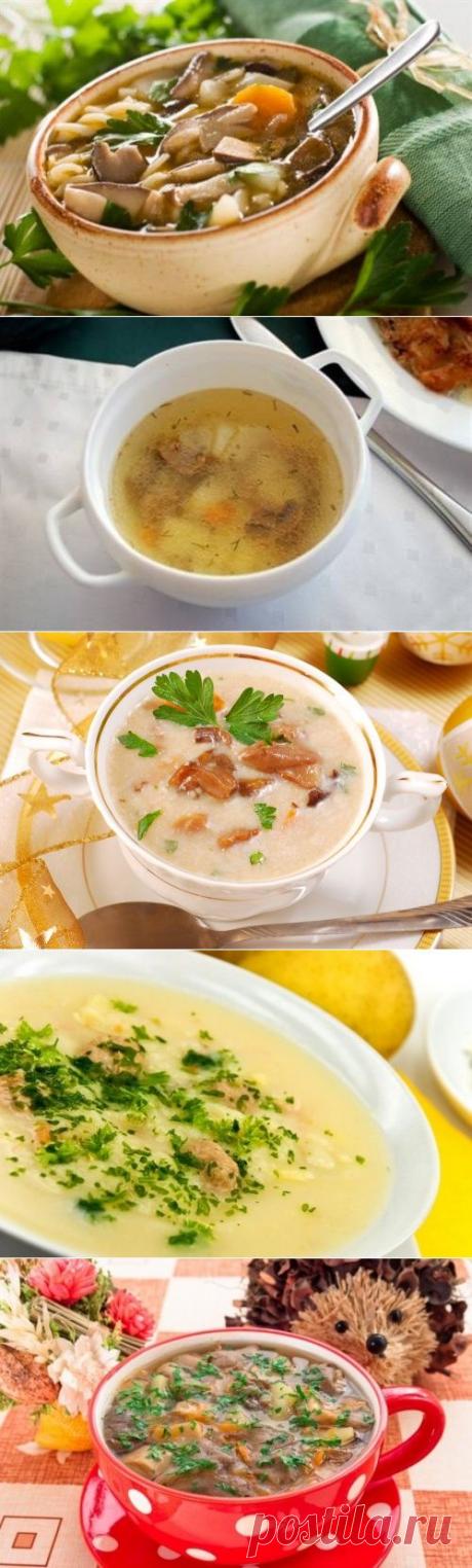 Грибной суп - рецепты с фото / Простые рецепты