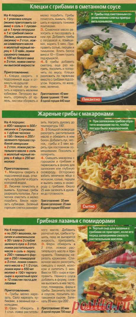 Клецки с грибами в сметанном соусе. Жареные грибы с макаронами. Грибная лазанья с помидорами