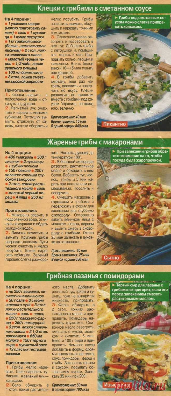 Клецки с грибами в сметанном соусе. Жареные грибы с макаронами. Грибная лазанья с помидорами