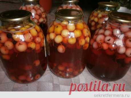 Компот из диких яблок (дички): домашний рецепт | Секрет Фермера