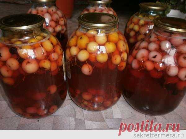 Компот из диких яблок (дички): домашний рецепт | Секрет Фермера