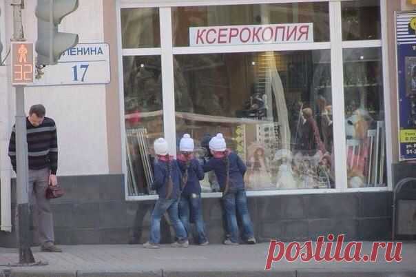 / 42 слона!
