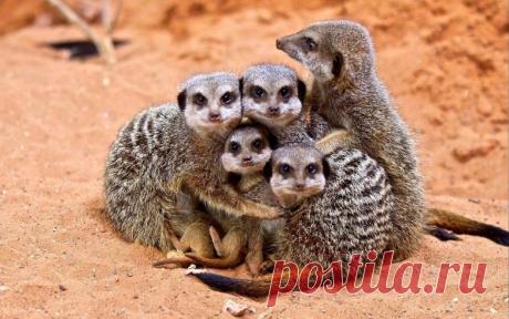 Этот безумный, безумный мир. Кайф! / Всё самое лучшее из интернета