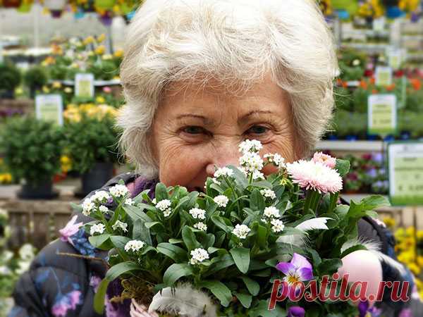 При любых болях бабушка применяла эти рецепты и другим советовала. Отлично помогают! — Домашние заботы