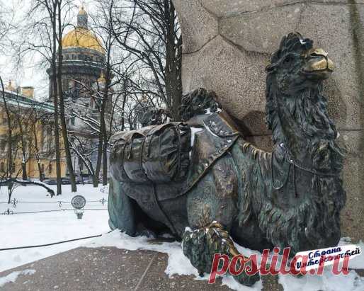Единственный памятник верблюду в Санкт-Петербурге
Фото: kotoed