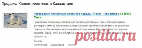 Зоорынок - продажа животных в Казахстане. Весь зоорынок Казахстана на одном сайте.