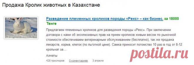 Зоорынок - продажа животных в Казахстане. Весь зоорынок Казахстана на одном сайте.