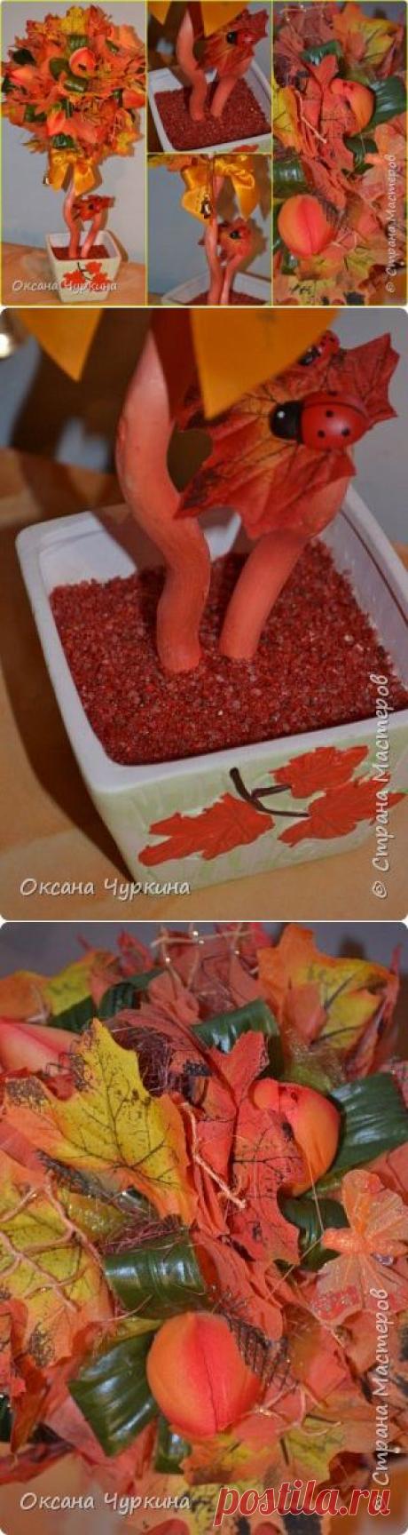 Топиарий ко Дню учителя &quot;Листопад&quot; | Страна Мастеров