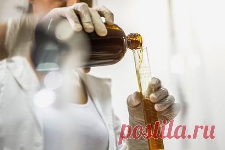 Иностранцы в России обустроили нарколабораторию на даче. Сотрудники полиции задержали супругов, подозреваемых в организации нарколаборатории в дачном домике одного из садовых товариществ Владимирской области. Всего у иностранцев изъяли почти 170 килограммов синтетического наркотического средства и 440 килограммов прекурсоров.