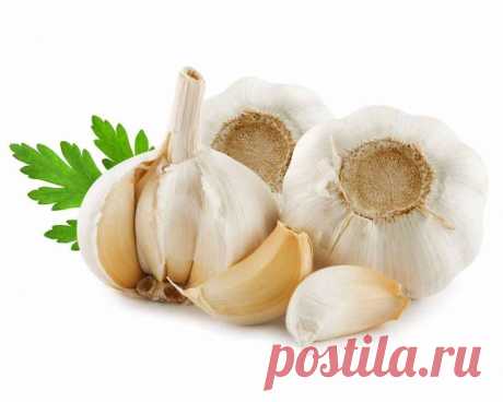 13 фактов, говорящих о пользе чеснока