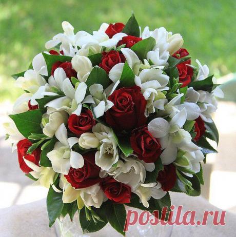 wasfee: В жизни я слышал многое — клятвы, обещания, комплименты, но лучшее, что я слышал — тишина. В ней нет лжи.