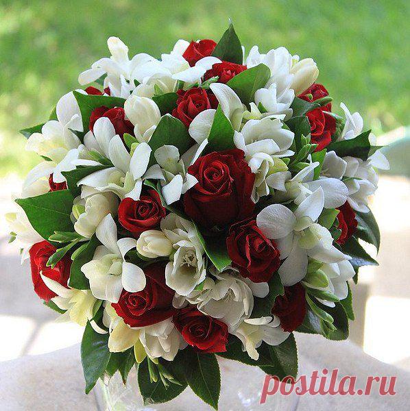 wasfee: В жизни я слышал многое — клятвы, обещания, комплименты, но лучшее, что я слышал — тишина. В ней нет лжи.