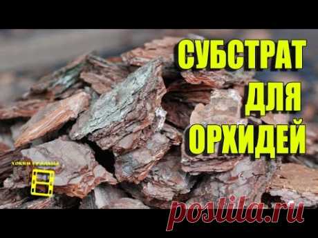 ГРУНТ (СУБСТРАТ) ДЛЯ ОРХИДЕЙ ФАЛЕНОПСИС. ОРХИДЕИ В ДОМАШНИХ УСЛОВИЯХ