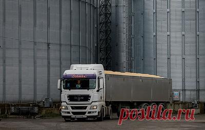 Анкара анонсировала встречу 5 мая Турции, России и Украины по зерновой сделке. Встреча планируется на уровне заместителей министров обороны в Стамбуле, сообщил глава оборонного ведомства Турции Хулуси Акар