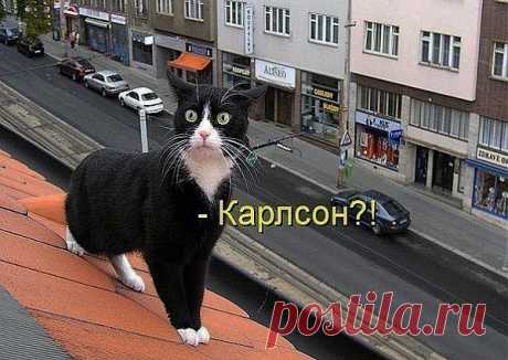 НУ И ЧТО , НУ ЖИВУ Я НА КРЫШЕ , И ЧТО СРАЗУ КАРЛСОНОМ ОБЗЫВАТЬ