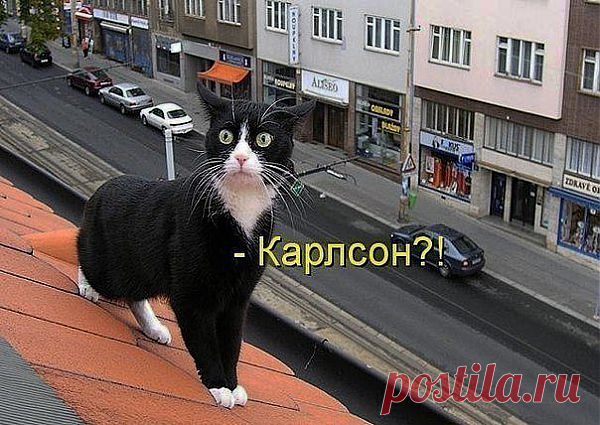 НУ И ЧТО , НУ ЖИВУ Я НА КРЫШЕ , И ЧТО СРАЗУ КАРЛСОНОМ ОБЗЫВАТЬ