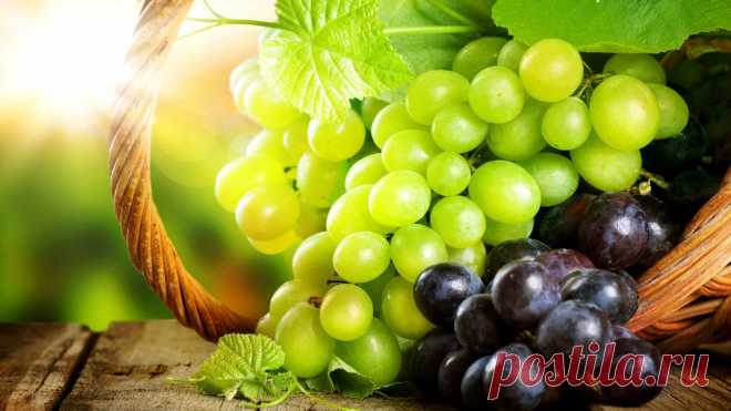 166-vinograd-oboi-eda-1366x768.jpg (1366×768)