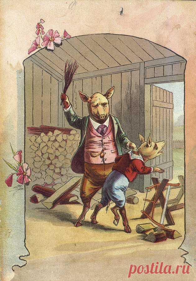 5 little pigs