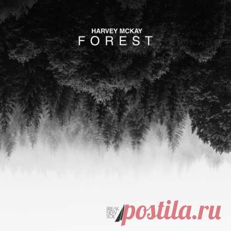 Harvey McKay – Forest [BNS077]