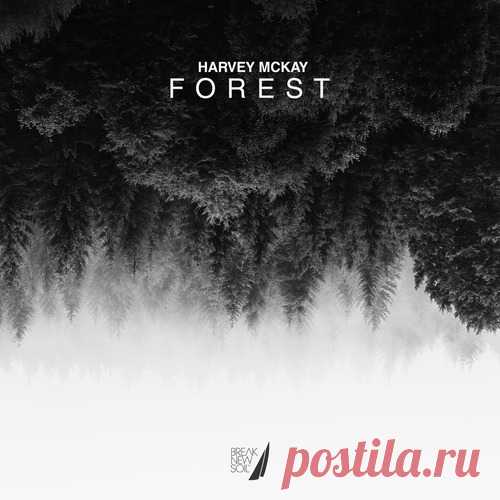 Harvey McKay – Forest [BNS077]