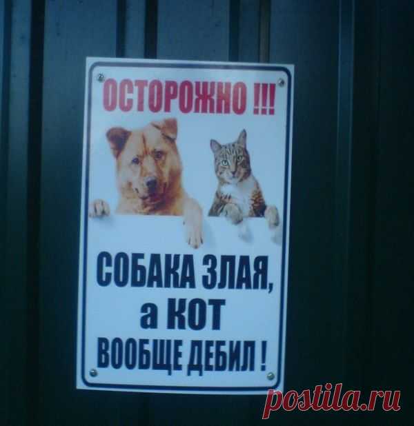 Мы вас предупредили...