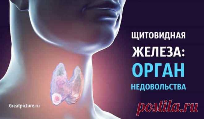 Щитовидная железа: Орган НЕДОВОЛЬСТВА