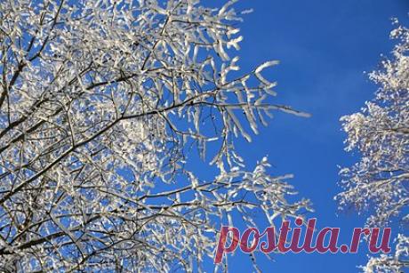 Синоптики предупредили россиян об аномальном похолодании. На российские регионы надвигаются аномальные холода. Об этом рассказал научный руководитель Гидрометцентра Роман Вильфанд, пишет ТАСС. Он подчеркнул, что в Архангельской области, Коми и Ненецком автономном округе ожидается температура воздуха 30 градусов ниже нуля. Холода также придут на Дальний Восток и в Сибирь.