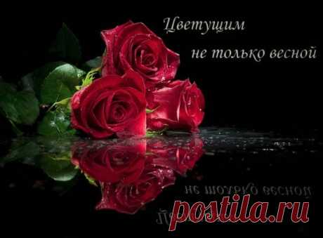 плейкаст с 8 марта женщинам музыкальный: 14 тыс изображений найдено в Яндекс.Картинках