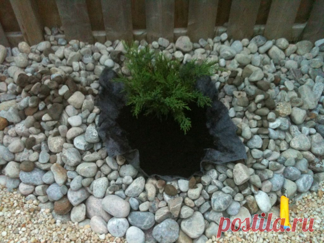 DIY проект озеленения (часть 4/5 - Back Yard: дзен/Rock Garden) | Mythos & Rini