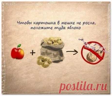 Интересные новости