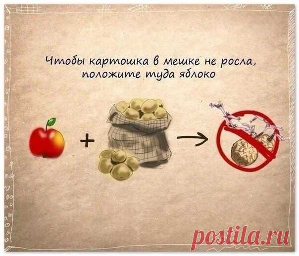 Интересные новости