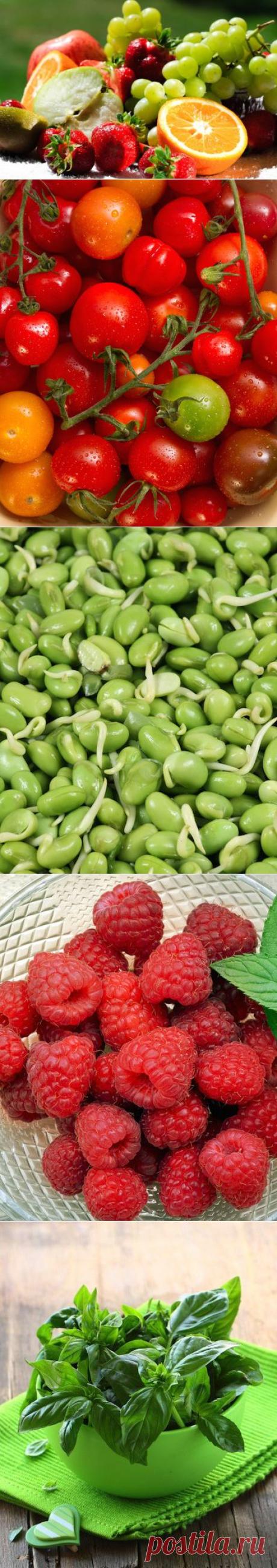 (+1) тема - 10 лучших продуктов, которые зарядят вас энергией и помогут похудеть | Полезные советы