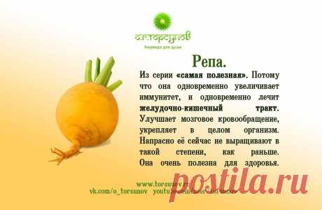 Репа