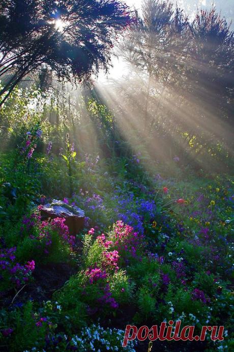 tumblr_mx5cwhAt2L1qaxmg0o1_500_zps720ddd68-1.jpg Photo by nadusha08_2009 | Photobucket