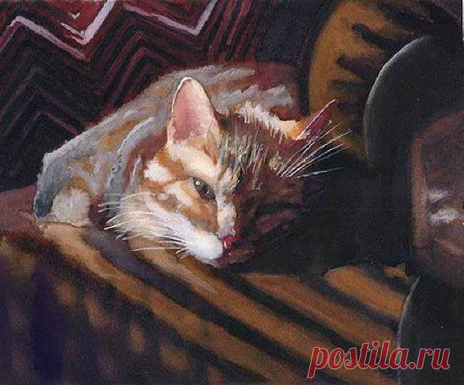 Кошачьи портреты. Полдень на диване - Алекс Картер