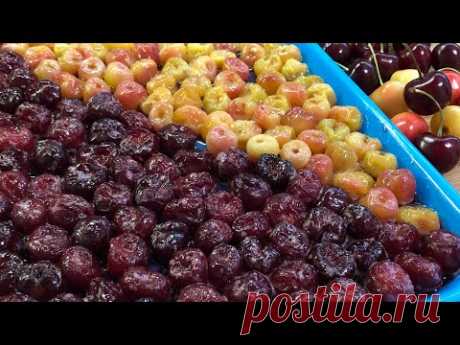 Сухофрукты из черешни | Dried cherries | Կեռասի չիր