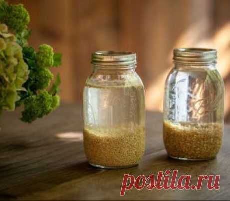 Цельные зерна: какие крупы НЕОБХОДИМО замачивать
