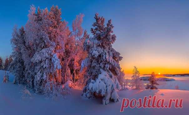 Около Ладожского озера, Карелия. Автор фото — Фёдор Лашков: