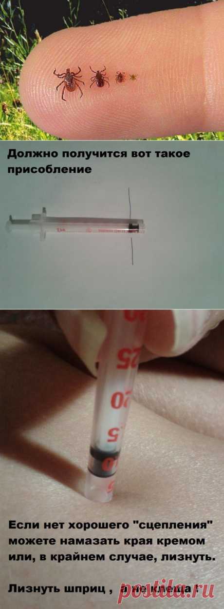 (33) Одноклассники