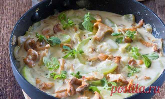Вкусные блюда из кабачков: рецепты приготовления