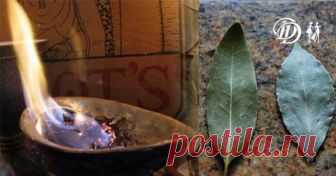 Подожгите лавровый лист в доме. Вы будете удивлены!